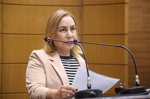 Sessão Especial – Dia do Gestor Governamental